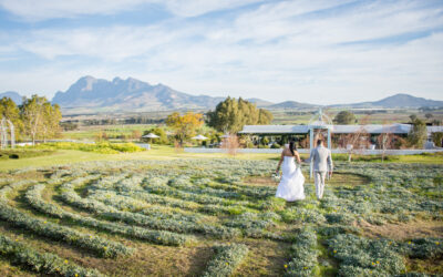 Lucian and Tasneem – Belair Pavilion
